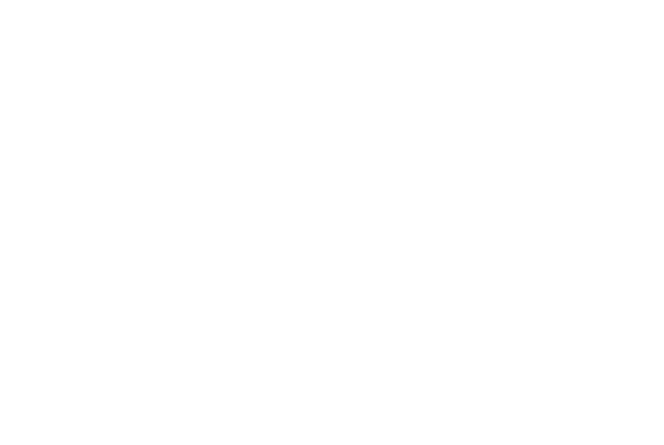 Astro Flies