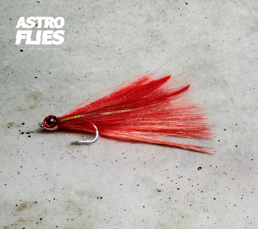 Astro Flies